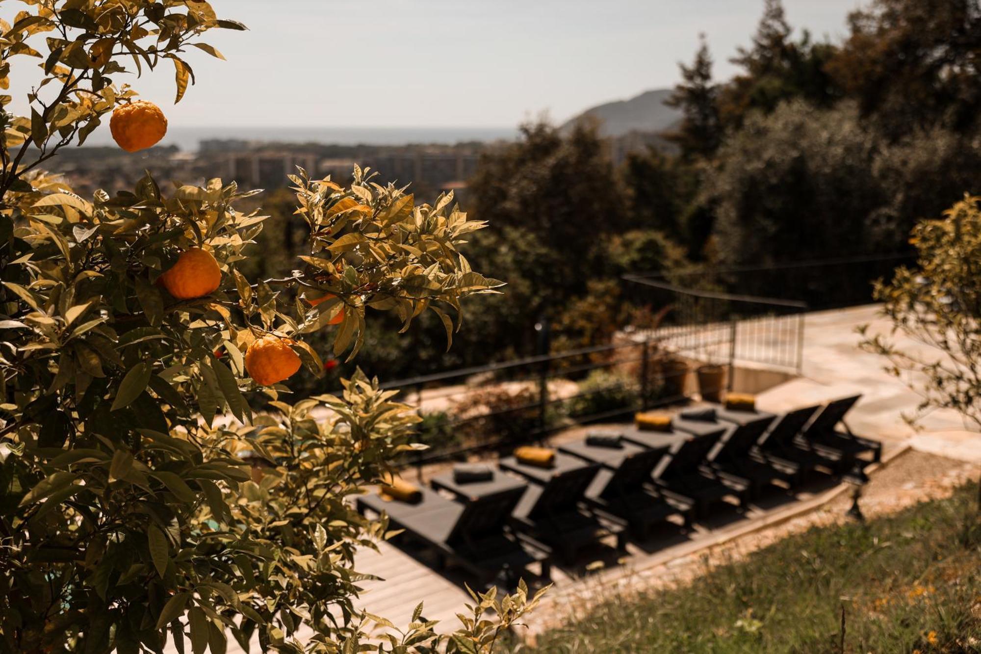Villa Les Roches Mandelieu Esterno foto