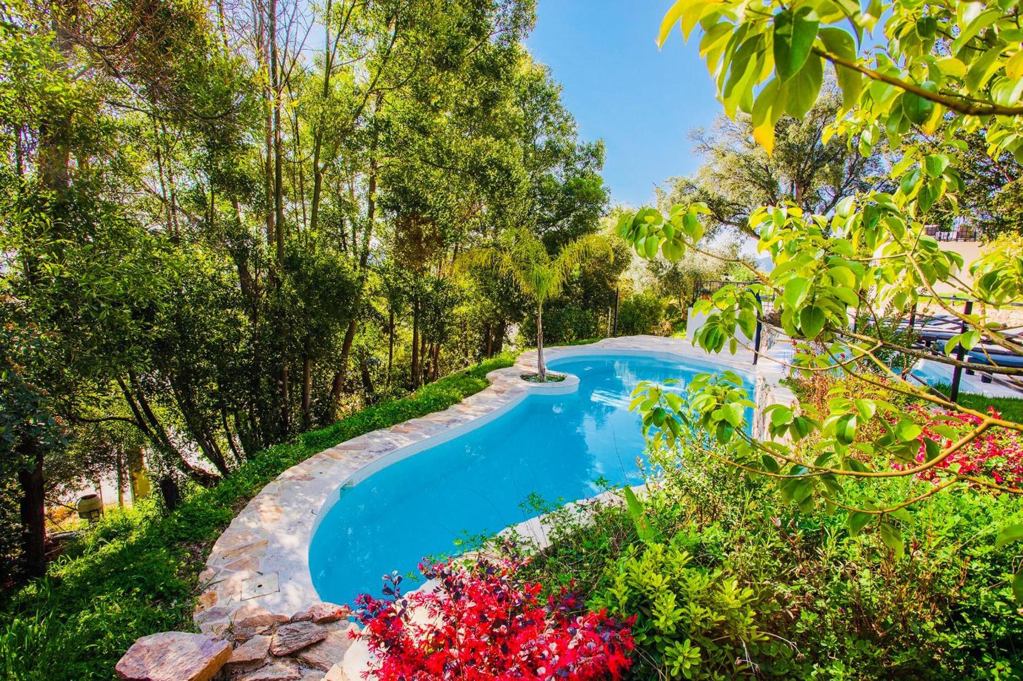 Villa Les Roches Mandelieu Esterno foto